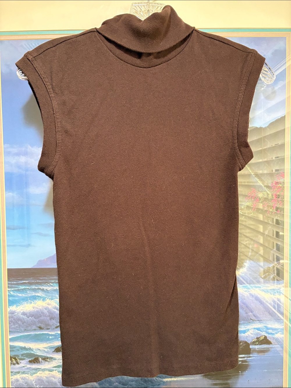 Banana Republic Brown Sleeveless Turtleneck Top